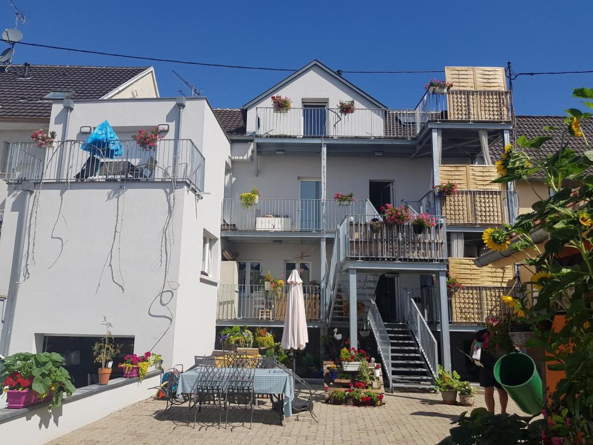 Au Gre De L'Ill "Les Toits D'Horbourg" Exterior foto